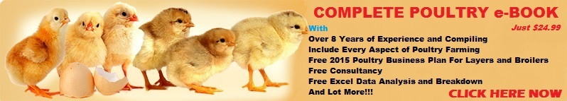 Sample business plan for poultry keeping